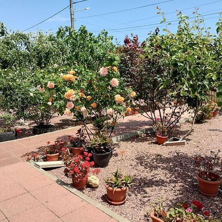 מלון Douăzeci şi Trei August Casa Doina מראה חיצוני תמונה