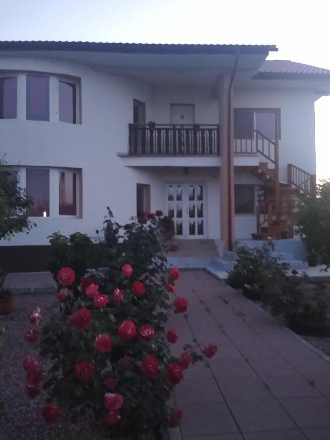 מלון Douăzeci şi Trei August Casa Doina מראה חיצוני תמונה