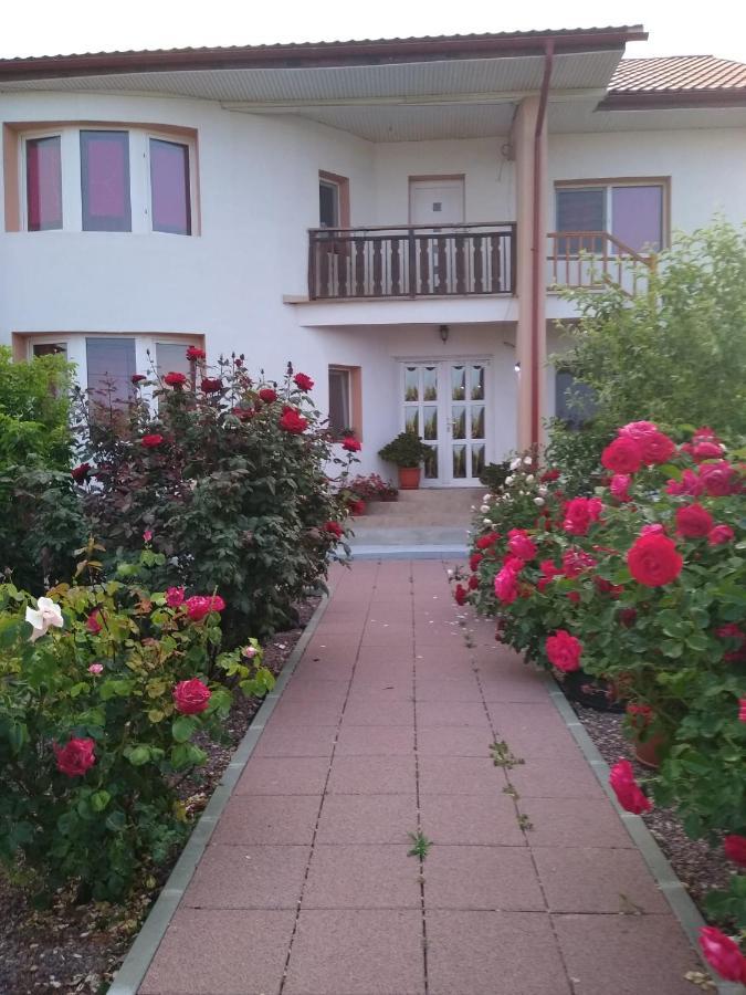 מלון Douăzeci şi Trei August Casa Doina מראה חיצוני תמונה