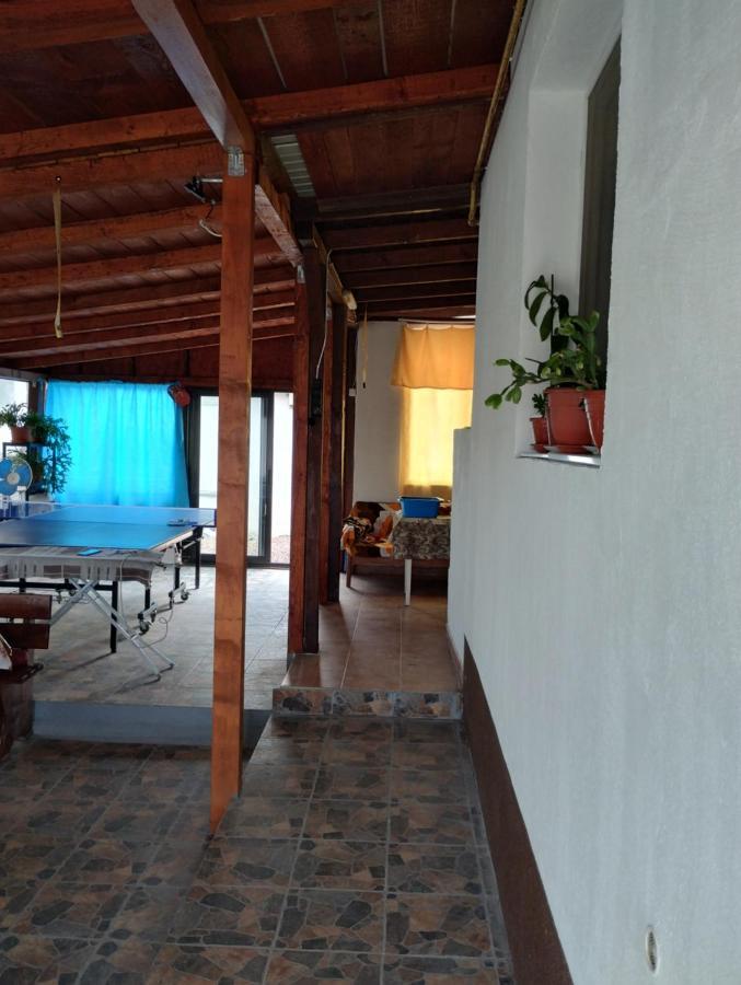 מלון Douăzeci şi Trei August Casa Doina מראה חיצוני תמונה
