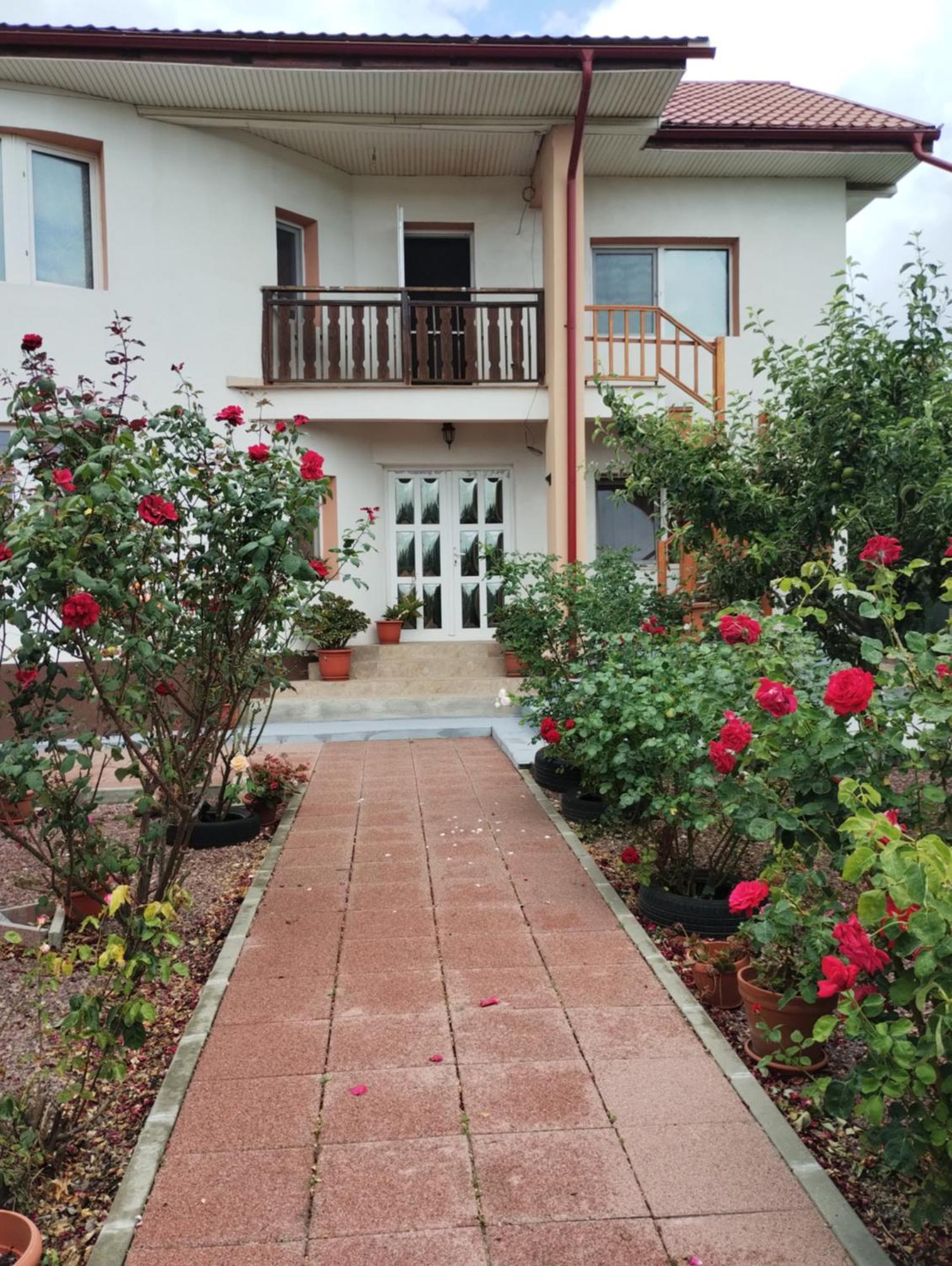 מלון Douăzeci şi Trei August Casa Doina מראה חיצוני תמונה