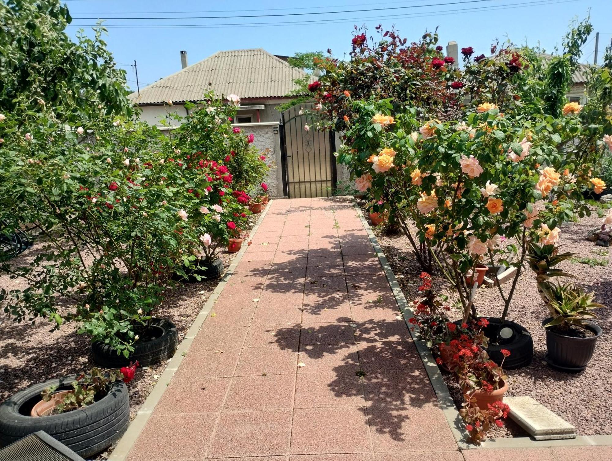 מלון Douăzeci şi Trei August Casa Doina מראה חיצוני תמונה
